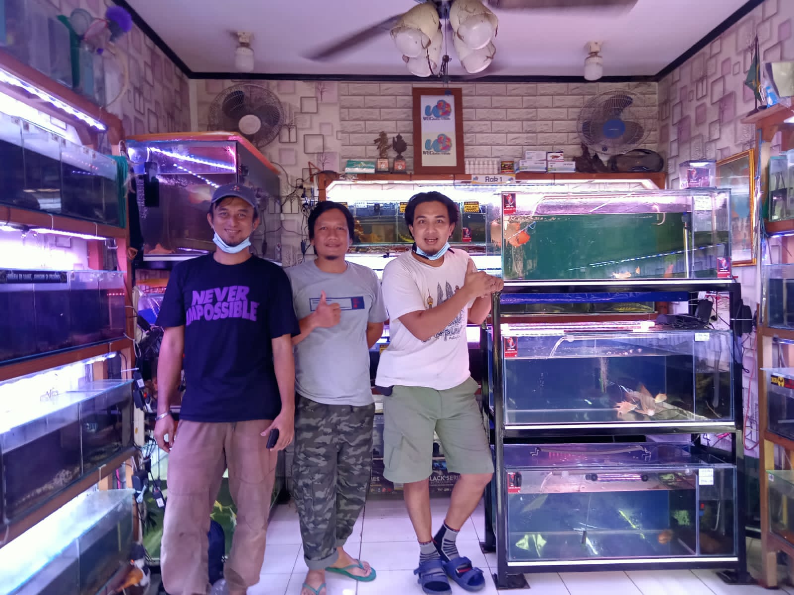 Omset Kios Ikan Hias