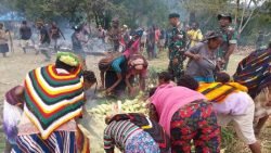 Masyarakat Timeria Gelar Bakar Batu, Bersama Satgas Yonif Raider 142