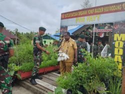 Dukung Program Ketahanan Pangan Nasional, Yonif Raider 600/Modang BudidayaTanaman di Penugasan