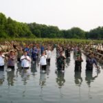 Tanam Mangrove secara serentak