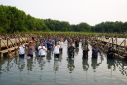 Tanam Mangrove Secara Serentak, Mabes TNI Raih Rekor Muri