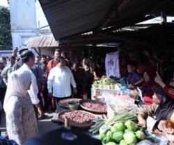 Presiden Jokowi Blusukan di Pasar Grogolan, Pekalongan