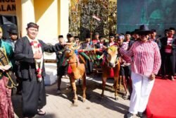 Laksamana Budayawan Gelar Pesta Budaya Lomba Karapan Sapi