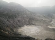 IMG 20250603 WA0035